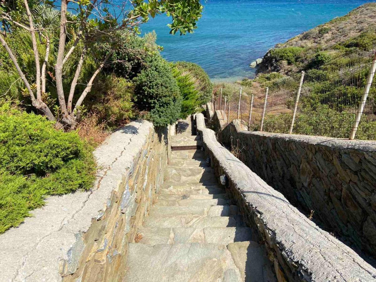 Andros Homes Sea Side Apartment & Studio Gavrio Eksteriør bilde